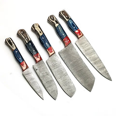 Custom Handmade Damascus BBQ / Kitchen Chef Knives set. Gift For Anniversary / Mother day Gift/ Gift For Everyone (CH-21)