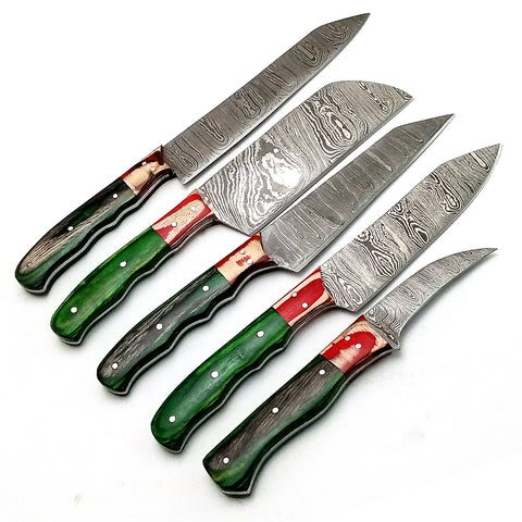 Custom Handmade Damascus BBQ / Kitchen Chef Knives set. Gift For Anniversary / Mother day Gift/ Gift For Everyone (CH-24)