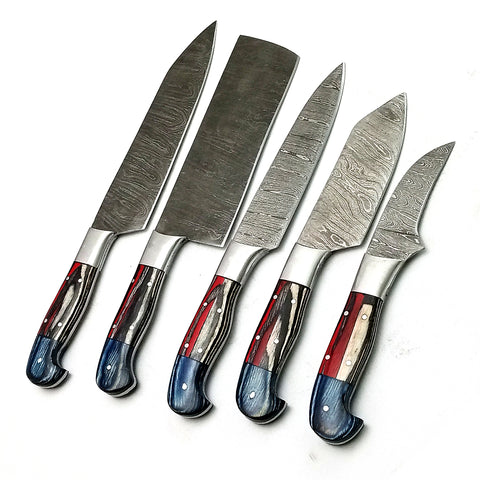 Custom Handmade Damascus BBQ / Kitchen Chef Knives set. Gift For Anniversary / Mother day Gift/ Gift For Everyone (CH-29)