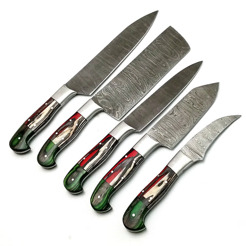Custom Handmade Damascus BBQ / Kitchen Chef Knives set. Gift For Anniversary / Mother day Gift/ Gift For Everyone (CH-22)