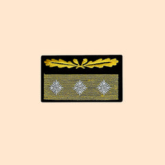 WW2 German Army General Sleeve Rank Insignia Heer Generaloberst Dienstgradabzeichen